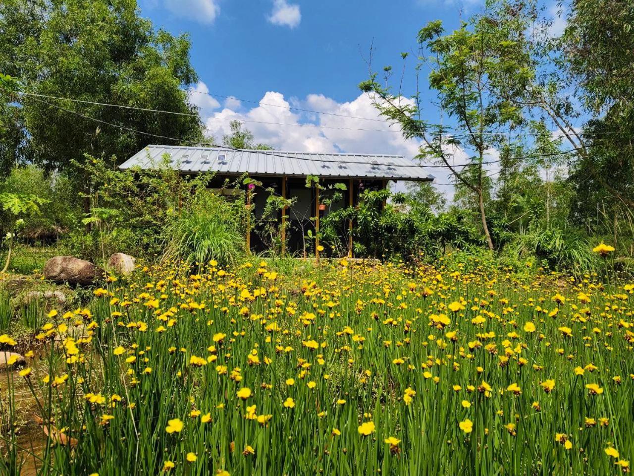 Kampot Camping - Eco Retreat Exterior photo